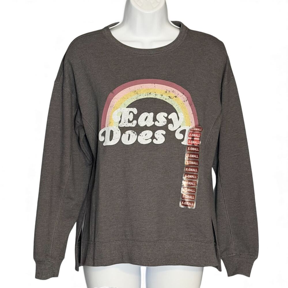 Wildfox Easy Does It Rainbow Sweatshirt Sz XS Charcoal Gray Graphic Pullover NWT